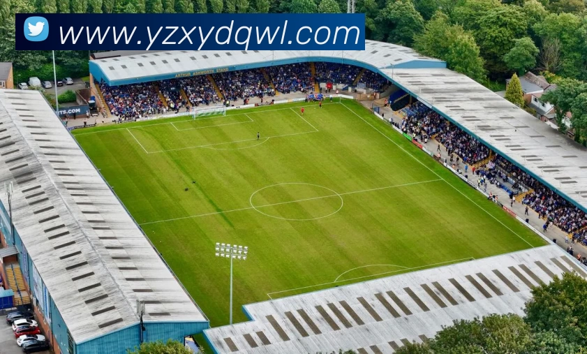 巅峰国际官网 - 追求健康，你我一起成长服务体系